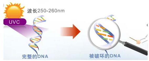 【杀菌消毒】UV紫外光在空气杀菌中的应用